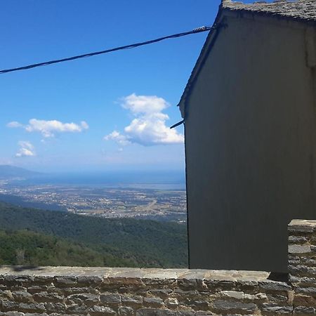 Gite La Fontaine Corse Loreto-di-Casinca المظهر الخارجي الصورة