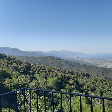Gite La Fontaine Corse Loreto-di-Casinca الغرفة الصورة