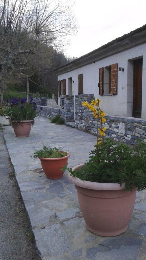 Gite La Fontaine Corse Loreto-di-Casinca المظهر الخارجي الصورة