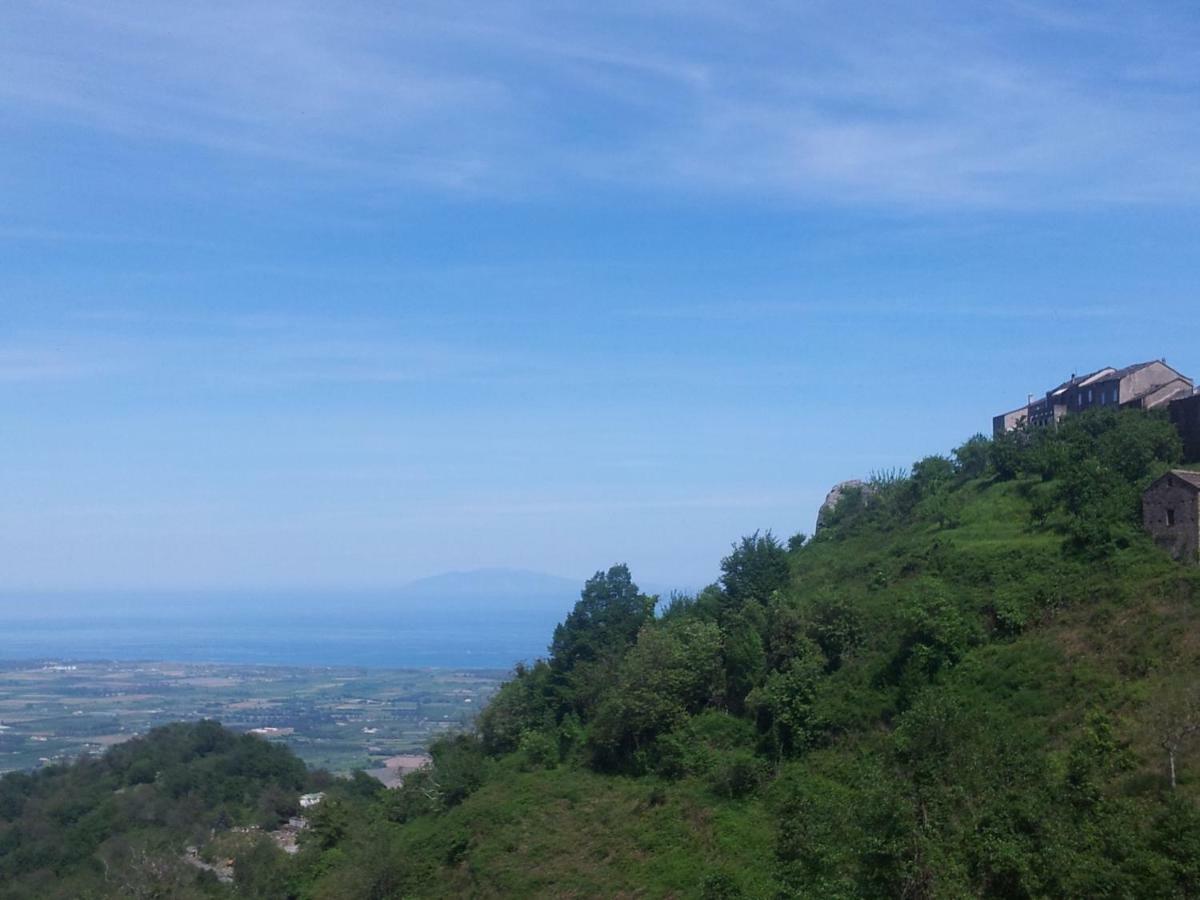 Gite La Fontaine Corse Loreto-di-Casinca المظهر الخارجي الصورة